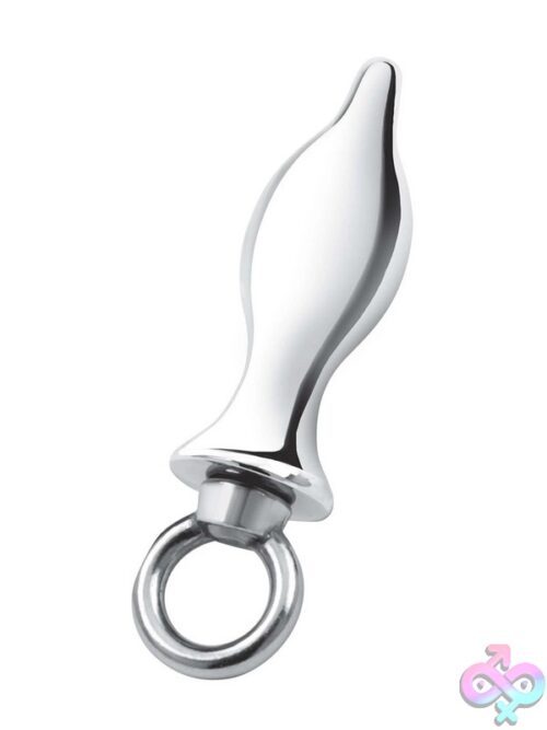 2.5&Quot; Stainless Steel Tapered Butt Plug With Loop Handle By Blue Line Men - Image 2