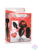 Remote Controlled Anal Vibes for Anal