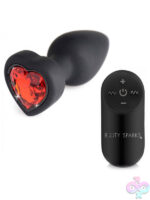 Remote Controlled Anal Vibes for Anal