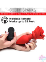 Remote Controlled Anal Vibes for Anal