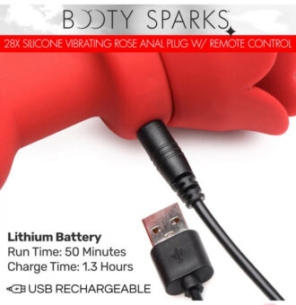 Remote Controlled Anal Vibes for Anal