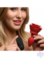 Remote Controlled Anal Vibes for Anal