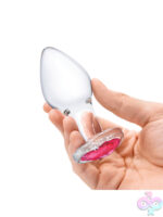 Anal Plugs for Anal