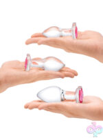 Anal Plugs for Anal
