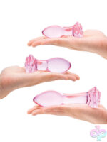 Anal Plugs for Anal