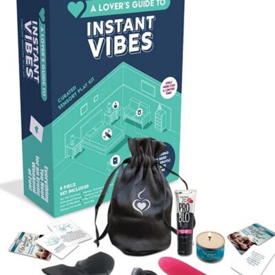 couples sensory play kit A Lover's Guide To Instant Vibes by Little Genie