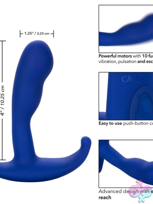 Admiral Advanced Curved Probe – Blue - Image 3