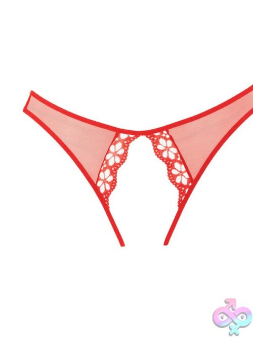 Mirabelle Plum Panty In Red - Image 2