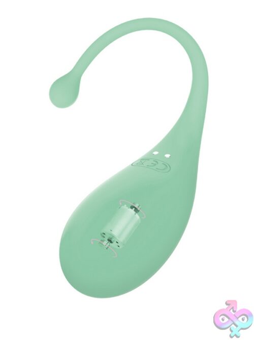 Adrien Lastic Palpitation App-Controlled Vibrating Egg - Image 2