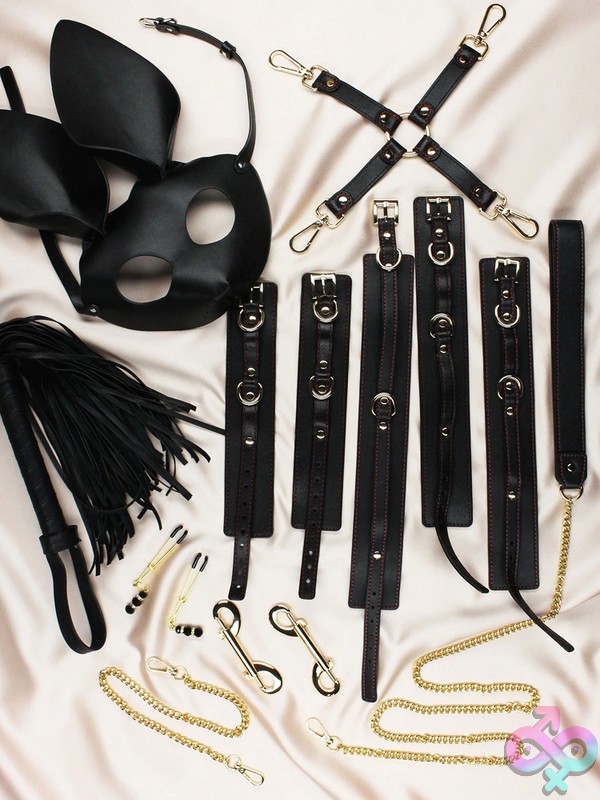 Discreet-Toys-Alice-14-Piece-Set-Nu-Ed-77099 14 Piece Couples Restraint And Sensation Kit In Black Pu Leather Case By Edonista