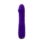 Ambition - Purple