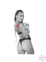 Ball and Mouth Gags for Bondage