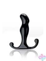 Compact black prostate massager with dual stimulation tabs and smooth glass-like finish by Aneros