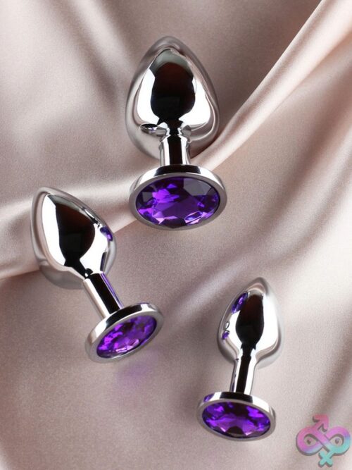Anika 3 Piece Anal Plug Kit - Image 2
