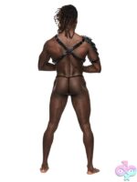 Aquarius Leather Chest Harness with Gladiator Shoulder Shield - Image 3