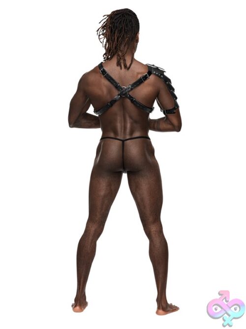 Aquarius Leather Chest Harness With Gladiator Shoulder Shield - Image 3