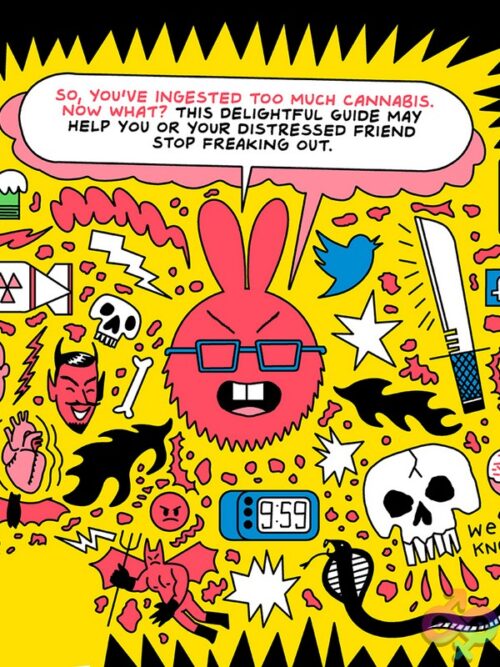 Are You Too High? – Novelty Recovery Guide - Image 2