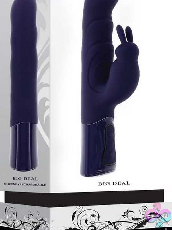 Discreet-Toys-Big-Deal-En-Rs-6220-2 Big Deal - Image 1