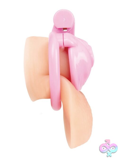 Degrading Mini Chastity Cage With Pussy Shape – Pink - Image 2