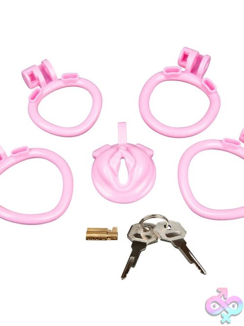 Degrading Mini Chastity Cage With Pussy Shape – Pink - Image 3