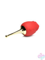 Wireless for Female