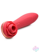 Wireless Vibrators for Female