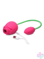Wireless for Female