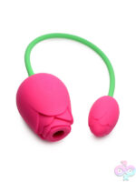 Wireless for Female