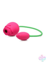 Wireless for Female