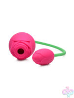 Wireless for Female