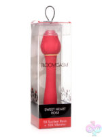 Wireless Vibrators for Female