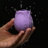 Clitoral Toys for Female