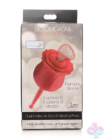 Wireless for Female