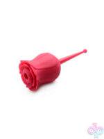 Wireless for Female