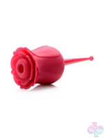 Wireless for Female