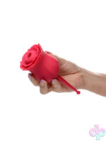 Wireless for Female