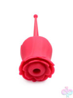 Wireless for Female