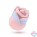 Blush Collection - Kissing Rose - Pink - Image 2