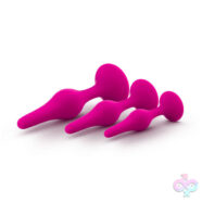 Blush Novelties Sex Toys - Luxe - Beginner Plug Kit - Pink
