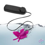 Blush Novelties Sex Toys - Luxe- Butterfly Teaser - Fuschia