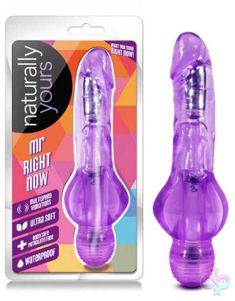 Blush Novelties Sex Toys - Mr. Right Now - Purple