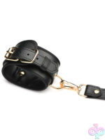 Tiedowns for Bondage