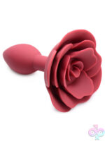 Anal Plugs for Anal