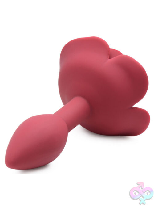 Anal Plugs for Anal