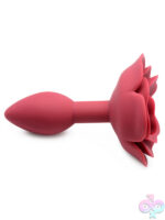 Anal Plugs for Anal