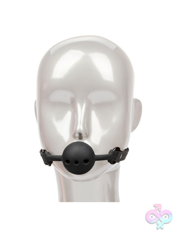CalExotics Sex Toys - Ball and Mouth Gags Ball and Mouth Gags for Bondage
