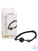 Ball and Mouth Gags for Bondage