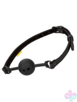 Ball and Mouth Gags for Bondage