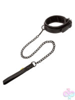 Leashes for Bondage