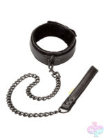 Leashes for Bondage